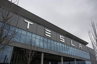 Kvůli výstavbě továrny Tesly u Berlína bylo vykáceno půl milionu stromů - Novinky